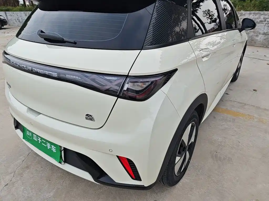 BYD Dolphin — миниатюра 8