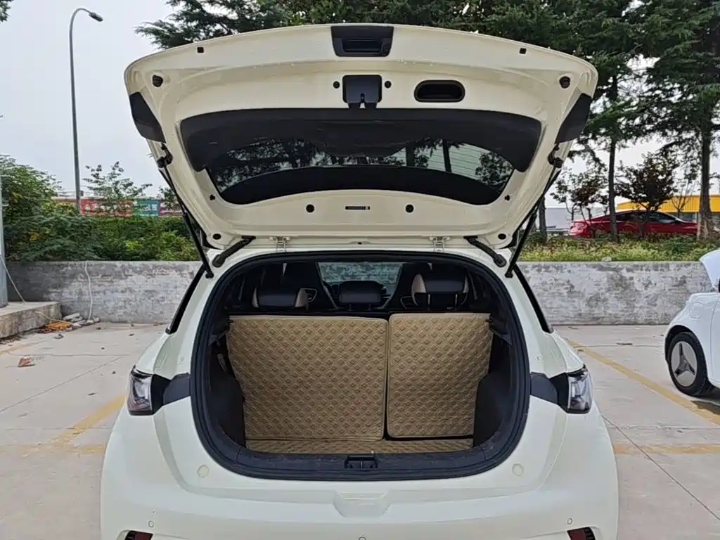 BYD Dolphin — миниатюра 19
