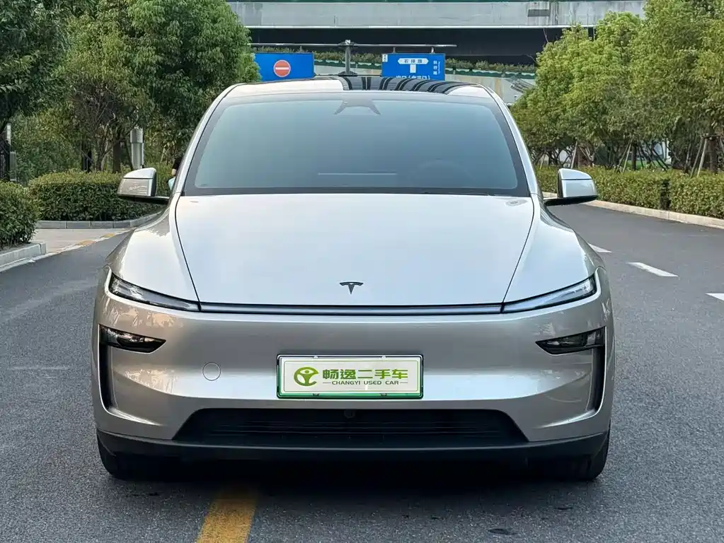 Tesla Model Y L — миниатюра 2