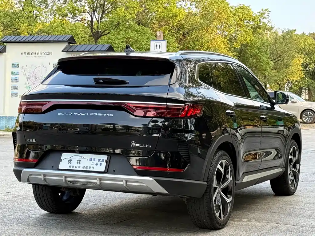 BYD PLUS — миниатюра 15