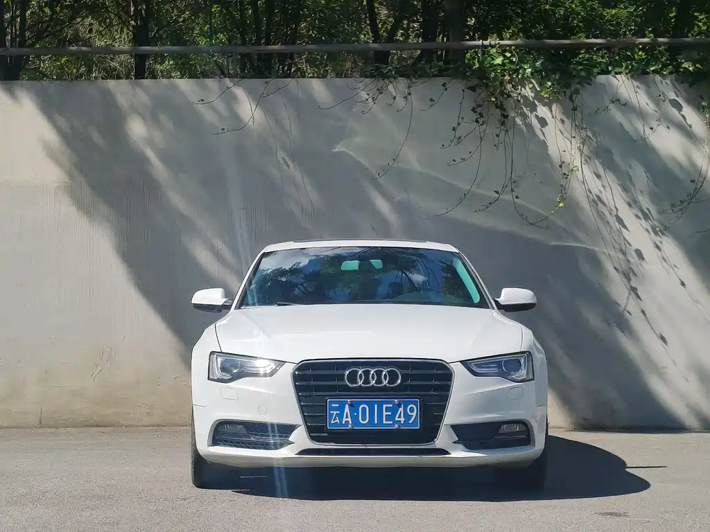 Audi A5 (Import) — миниатюра 2