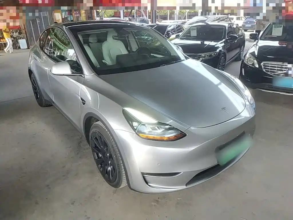 Tesla Model Y — миниатюра 4