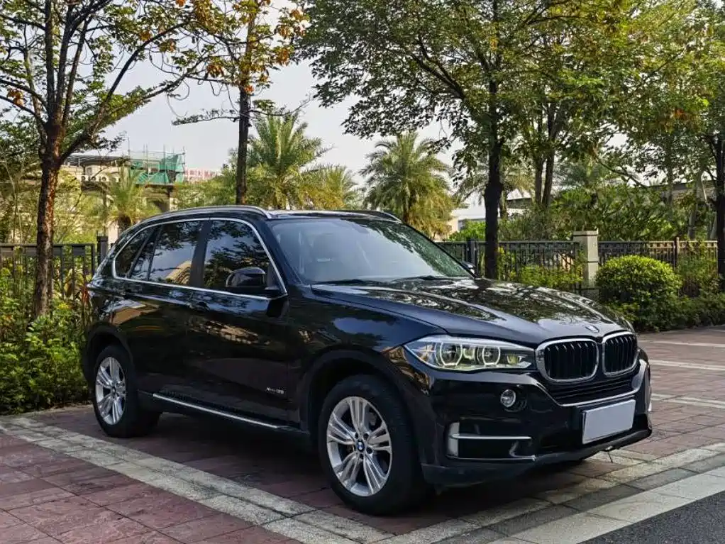 BMW X5 (Import) — миниатюра 3