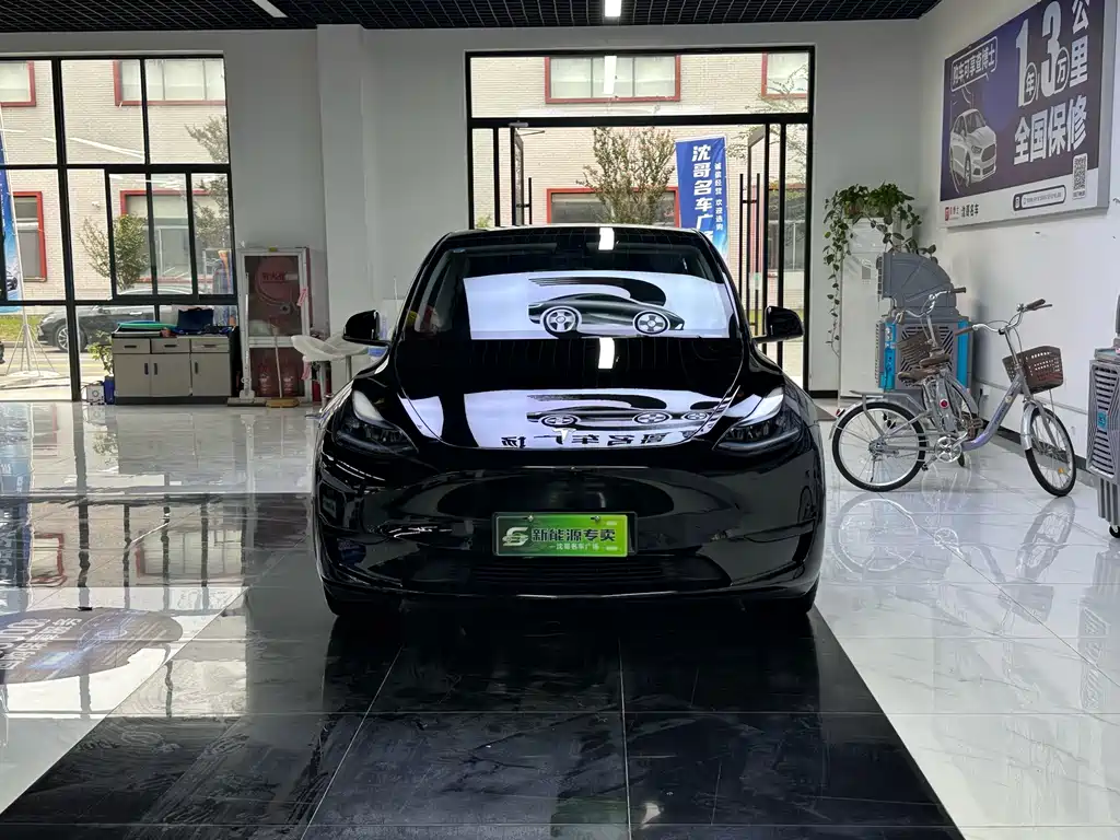 Tesla Model Y — миниатюра 2