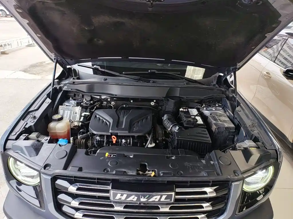 Haval Big Dog — миниатюра 20