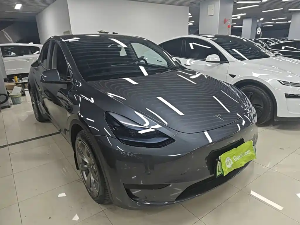 Tesla Model Y — миниатюра 4