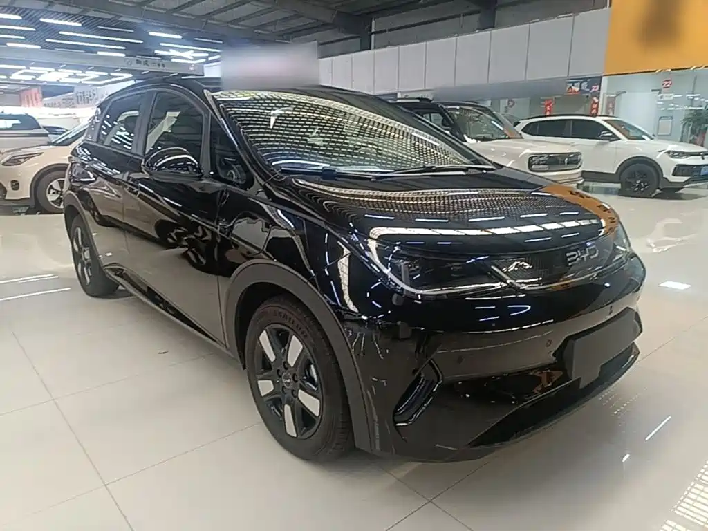 BYD Dolphin — миниатюра 4