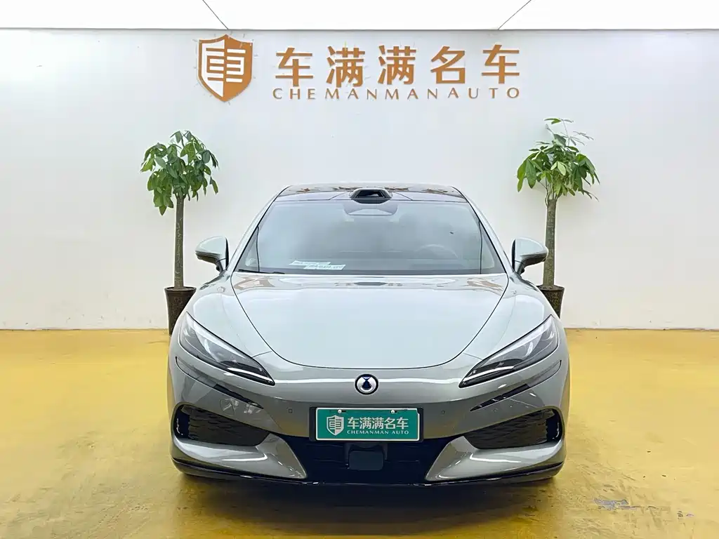 Denza Denza Z9GT — миниатюра 2