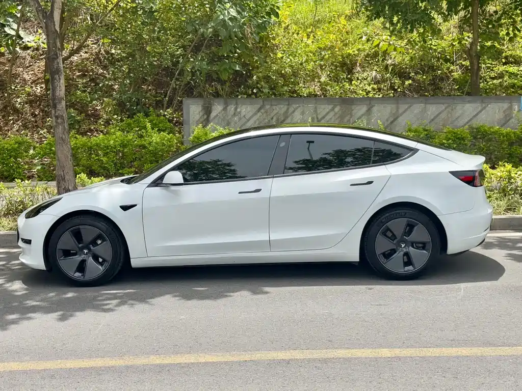 Tesla Model 3 — миниатюра 6