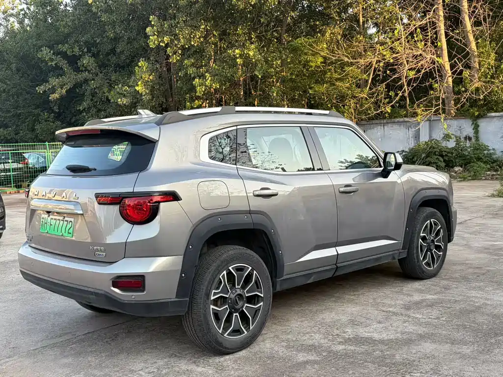 Haval Big Dog PLUS New Energy — миниатюра 7