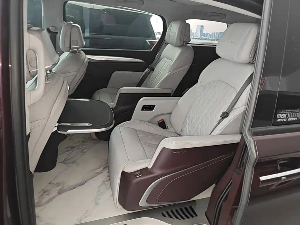 Buick GL8 — миниатюра 17
