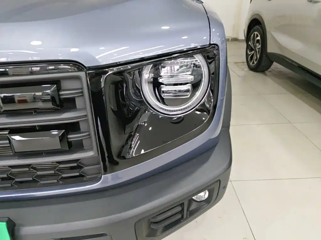 Haval Big Dog — миниатюра 24