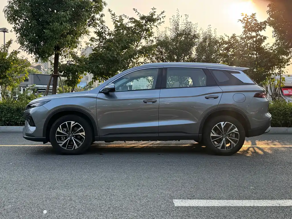 BYD Pro New Energy — миниатюра 5