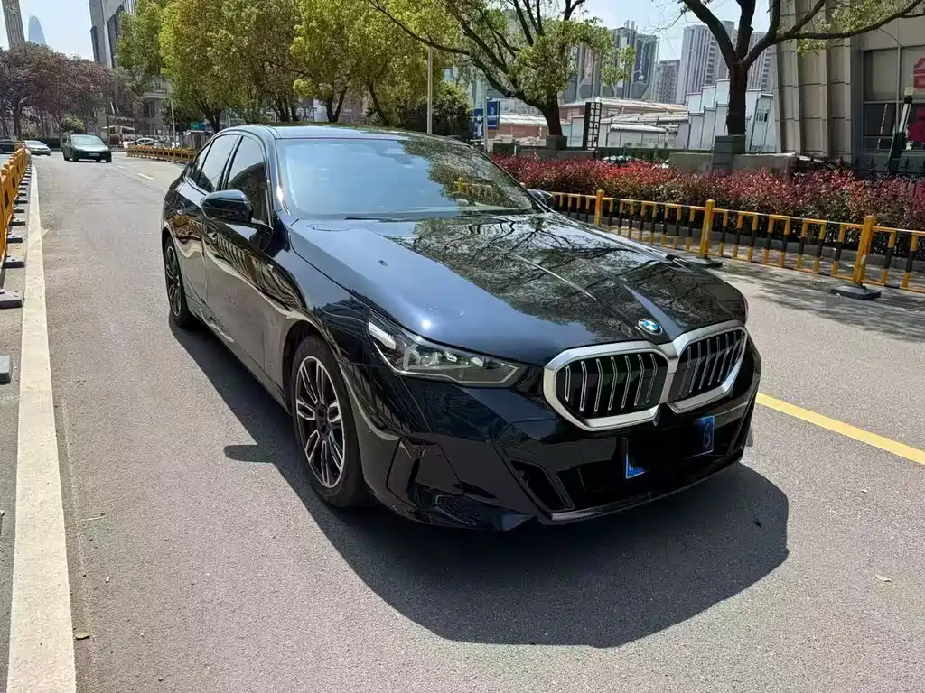BMW 5 Series (Import) — миниатюра 2