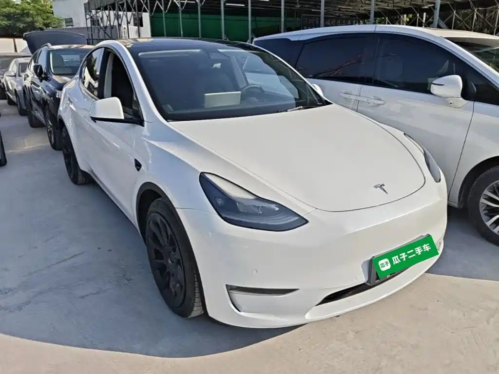 Tesla Model Y — миниатюра 4