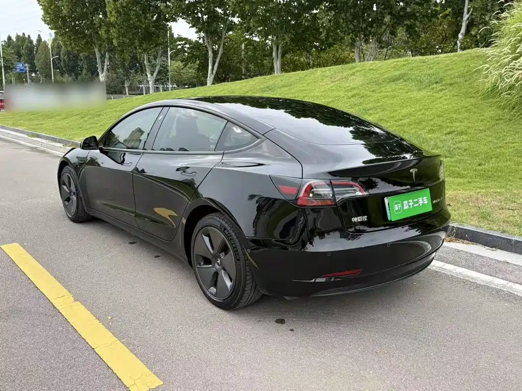 Tesla Model 3 — миниатюра 5