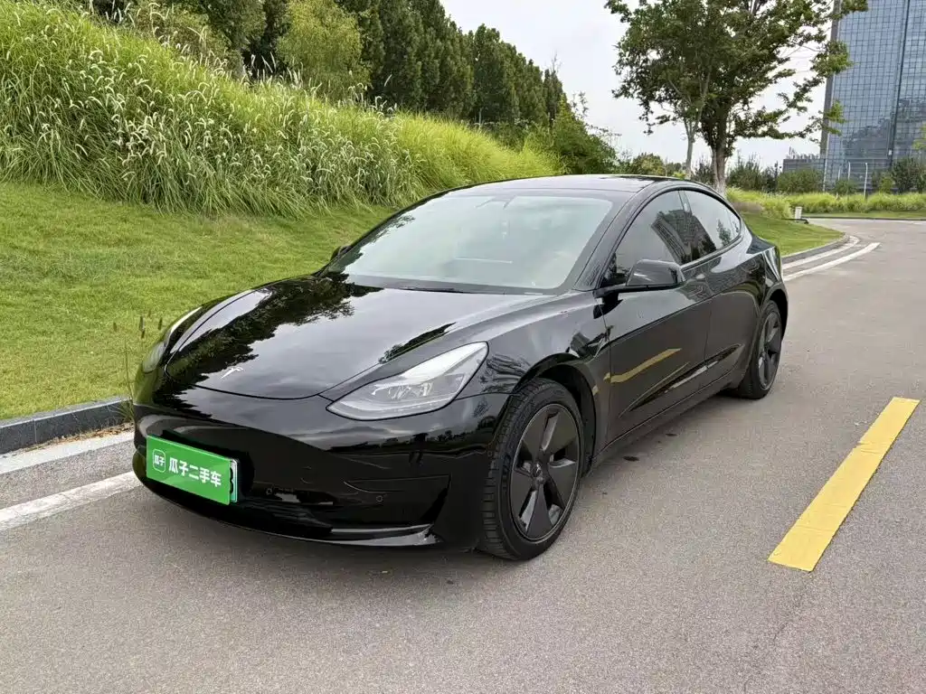 Tesla Model 3 — миниатюра 2