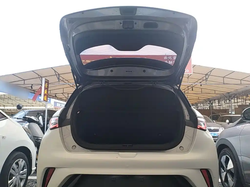 BYD Dolphin — миниатюра 19