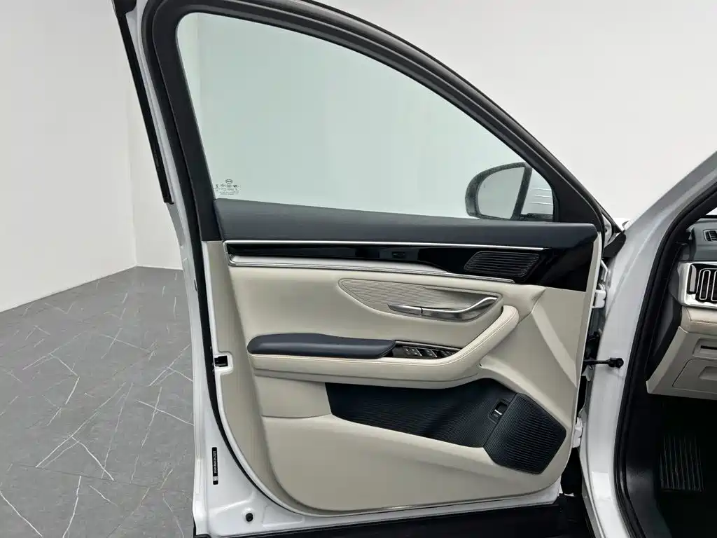 BYD PLUS New Energy — миниатюра 12