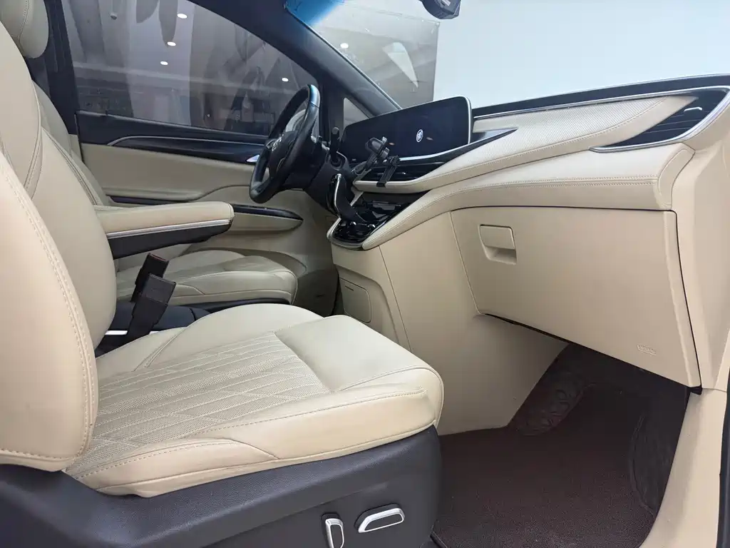Buick GL8 — миниатюра 8