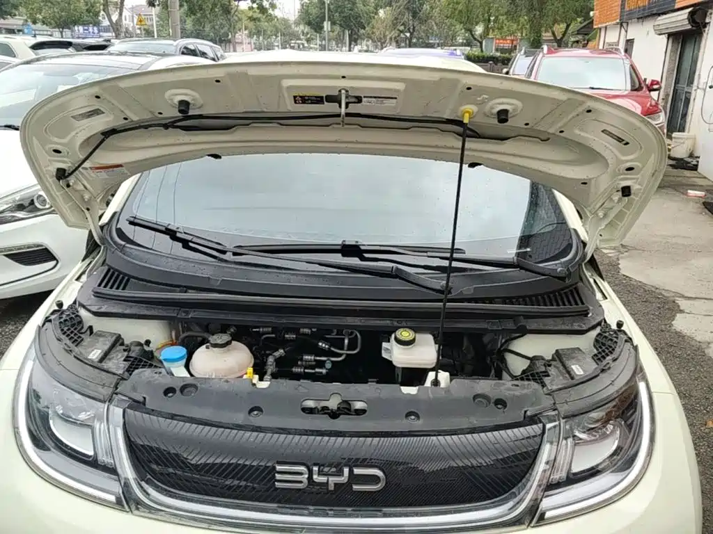 BYD Dolphin — миниатюра 20
