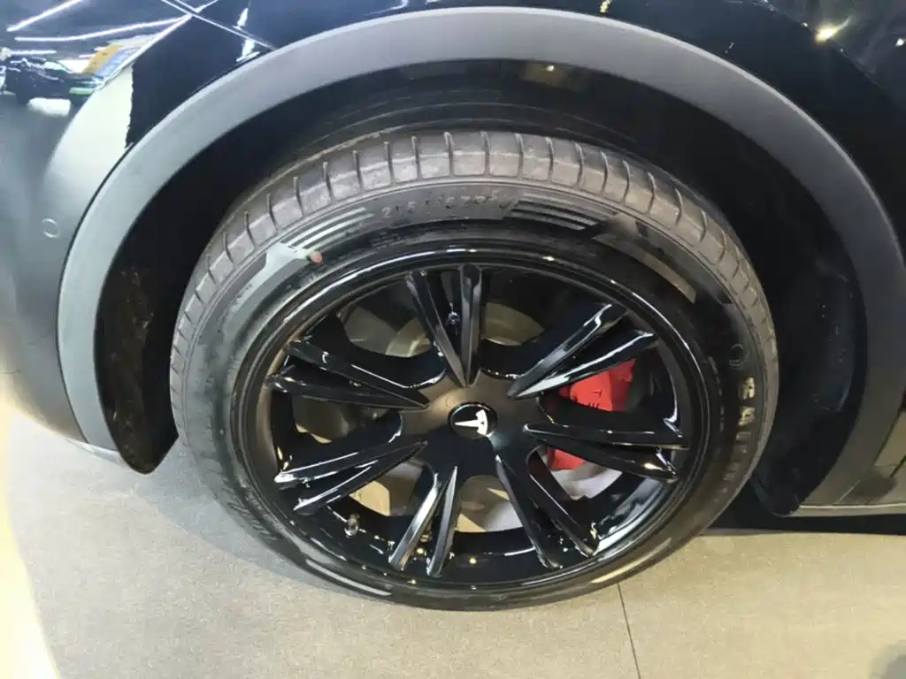Tesla Model Y — миниатюра 23