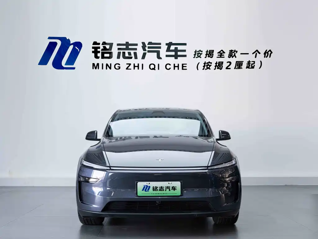 Tesla Model Y — миниатюра 3