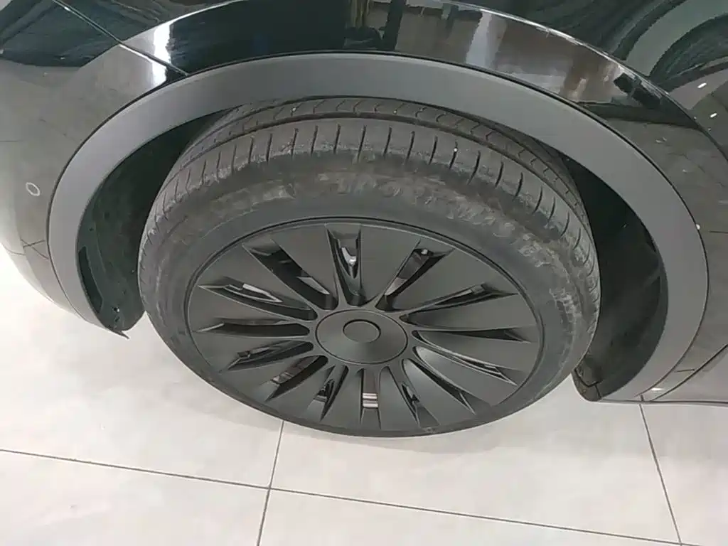 Tesla Model Y — миниатюра 23