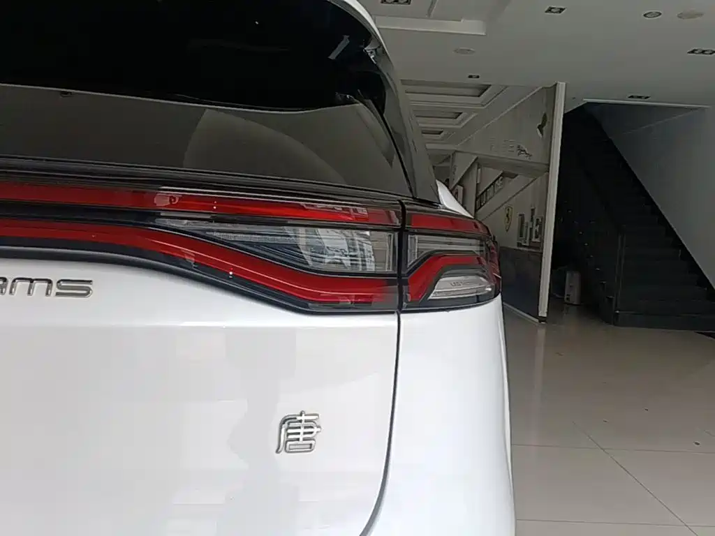 BYD Tang New Energy — миниатюра 8