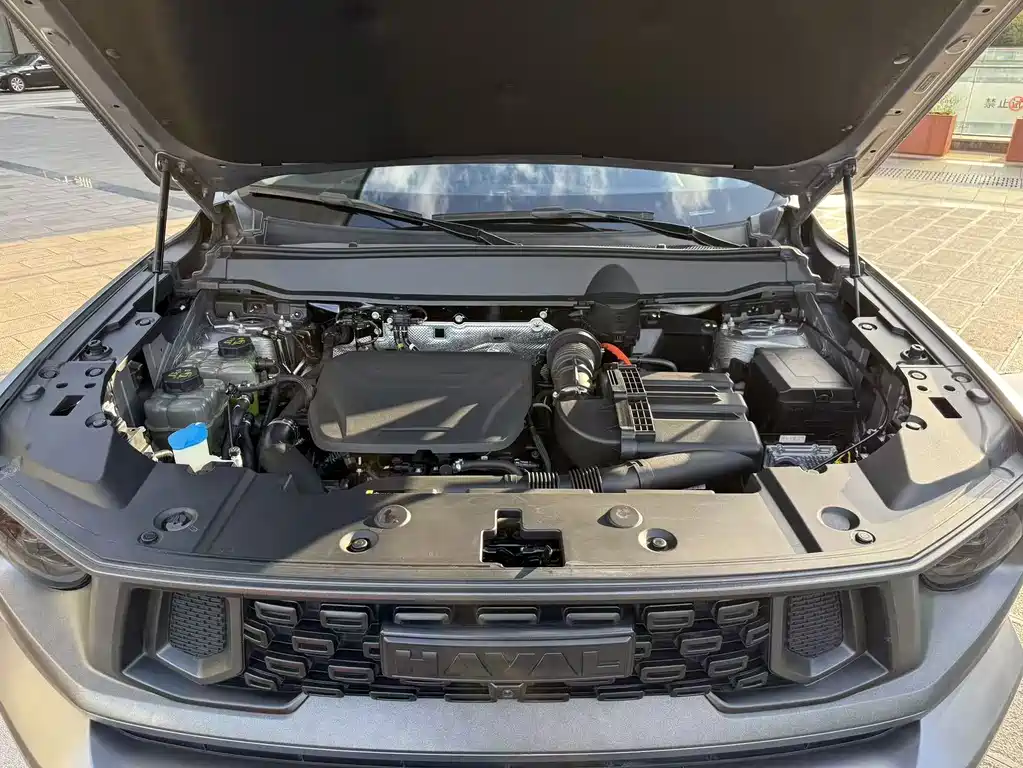 Haval Big Dog PLUS New Energy — миниатюра 16