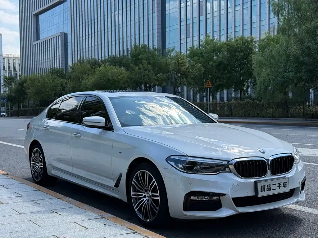 BMW 5 Series — миниатюра 3