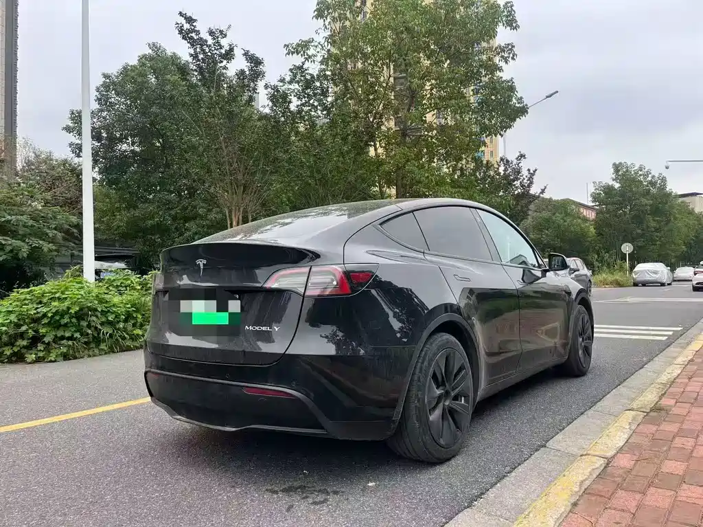 Tesla Model Y — миниатюра 7