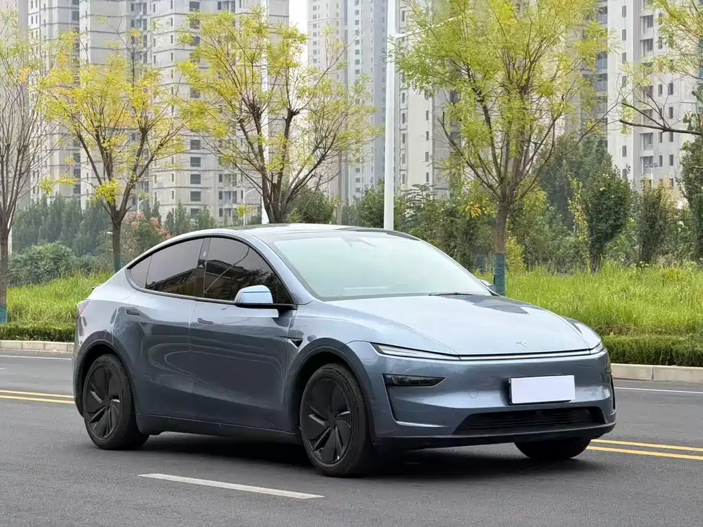 Tesla Model Y — миниатюра 3