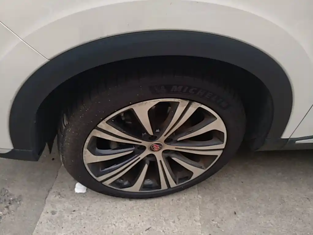 Roewe RX5 eMAX — миниатюра 23