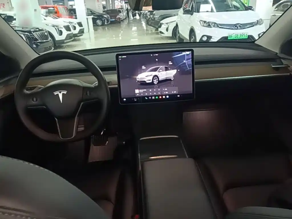 Tesla Model Y — миниатюра 10