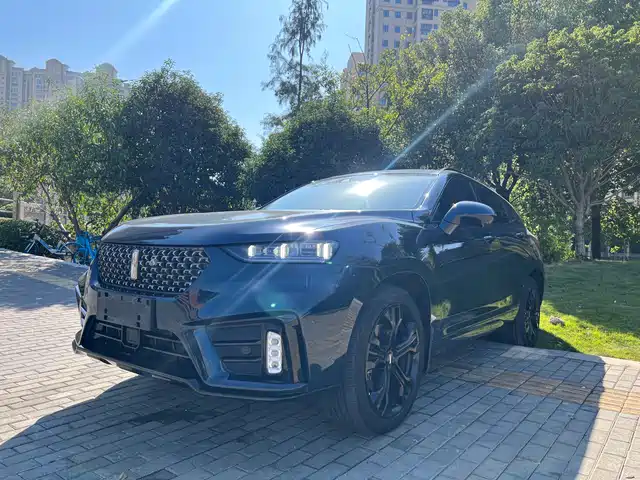 WEI PAI WEI BRAND VV7