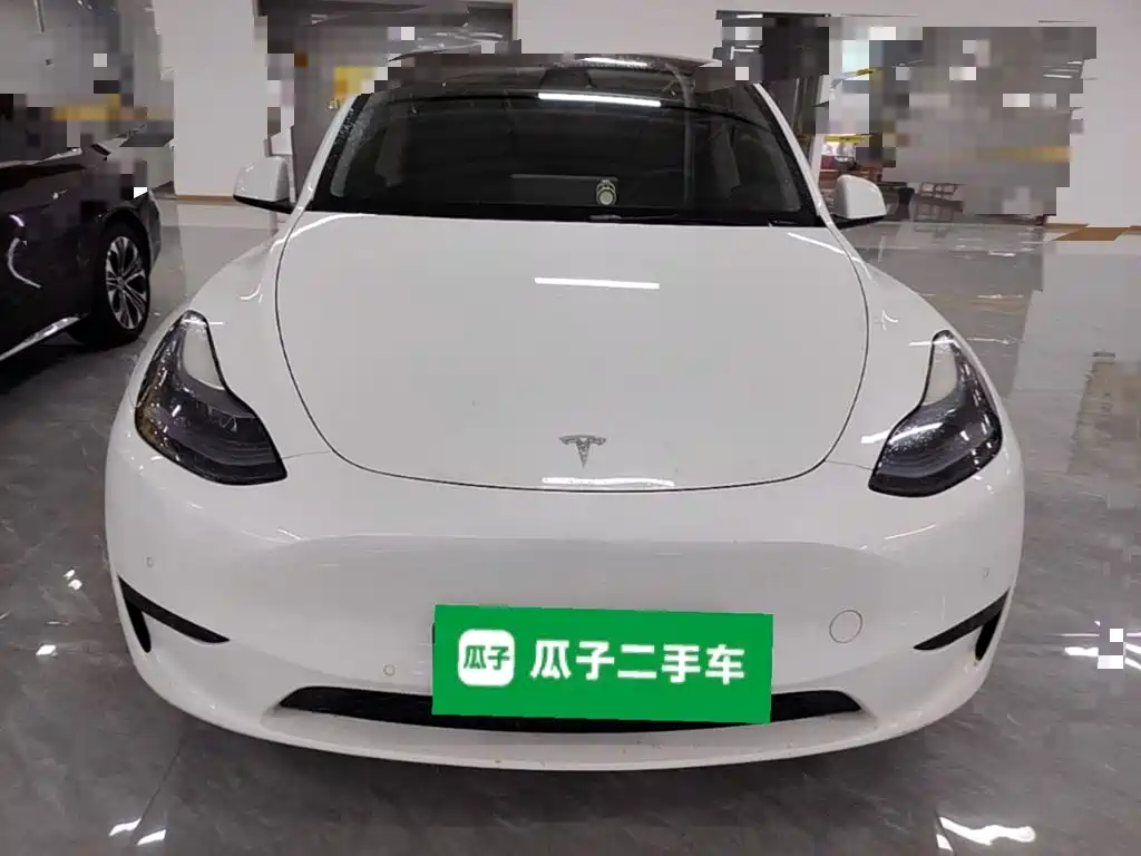 Tesla Model Y — миниатюра 3