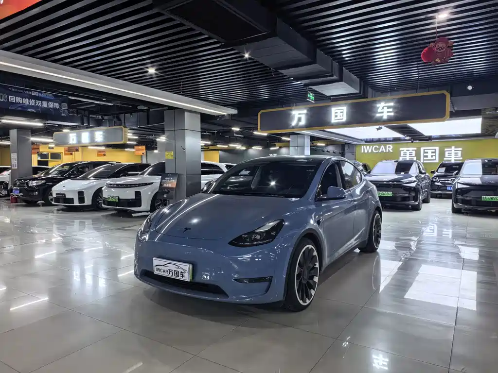 Tesla Model Y — миниатюра 2
