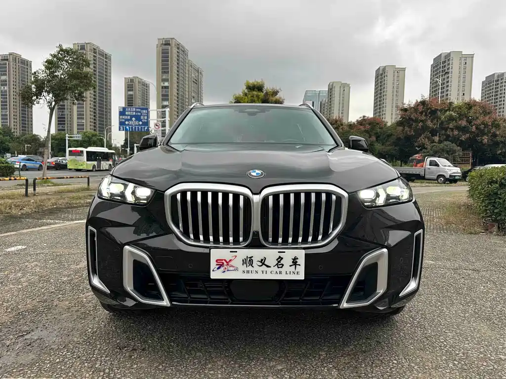 BMW X5 — миниатюра 2