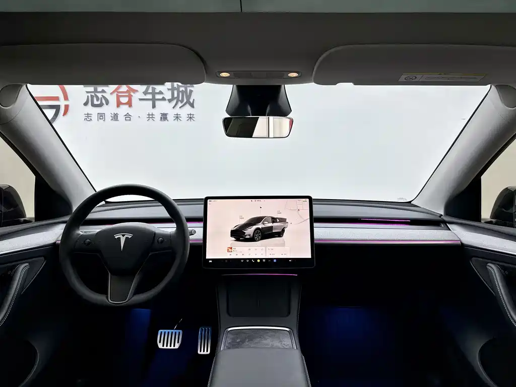Tesla Model Y — миниатюра 5