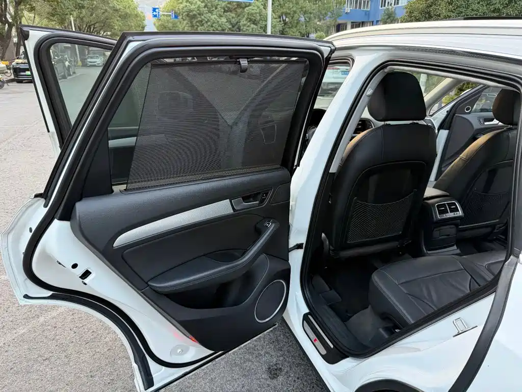 Audi Q5 (Import) — миниатюра 21