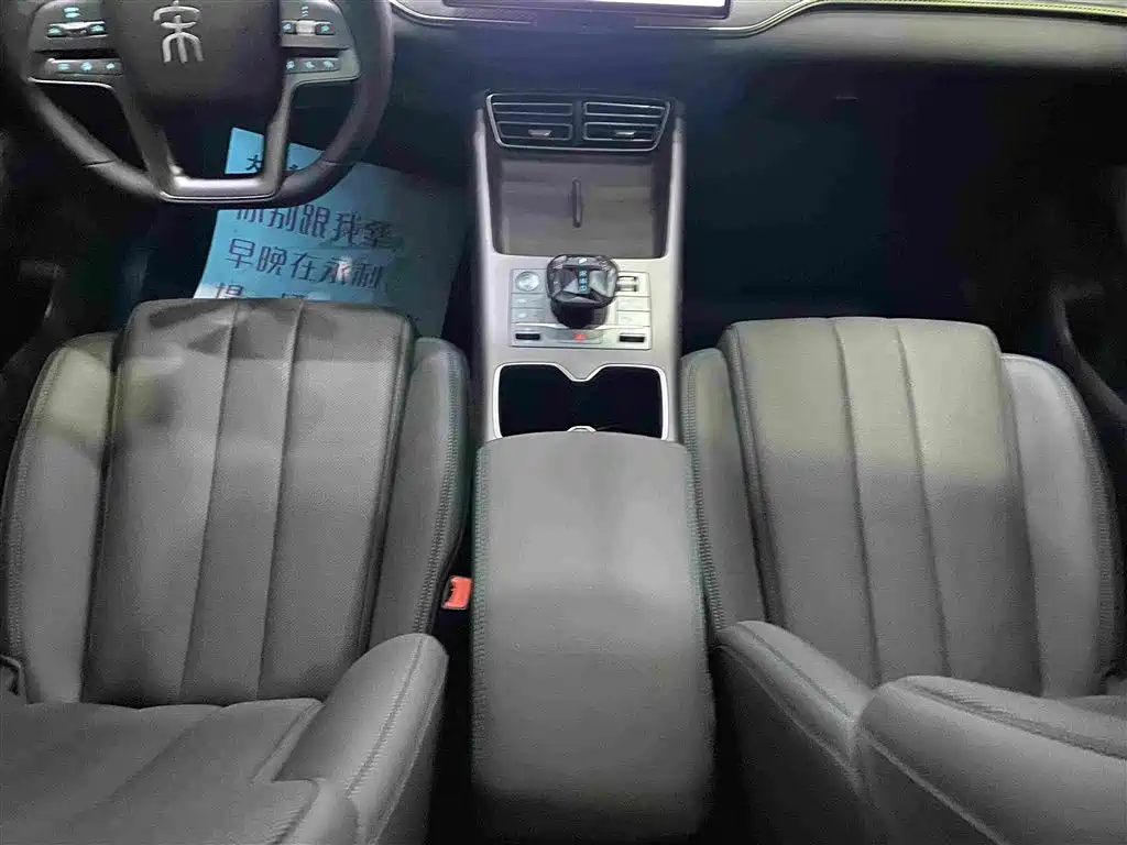 BYD Pro New Energy — миниатюра 10