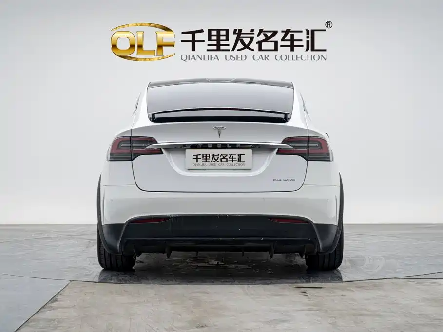 Tesla Model X — миниатюра 4