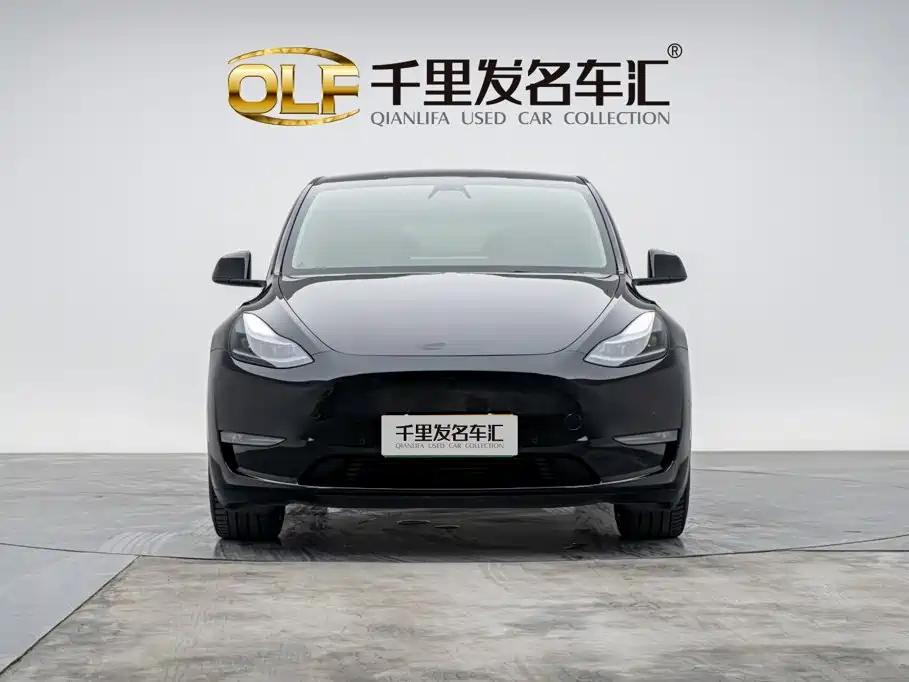 Tesla Model Y — миниатюра 2