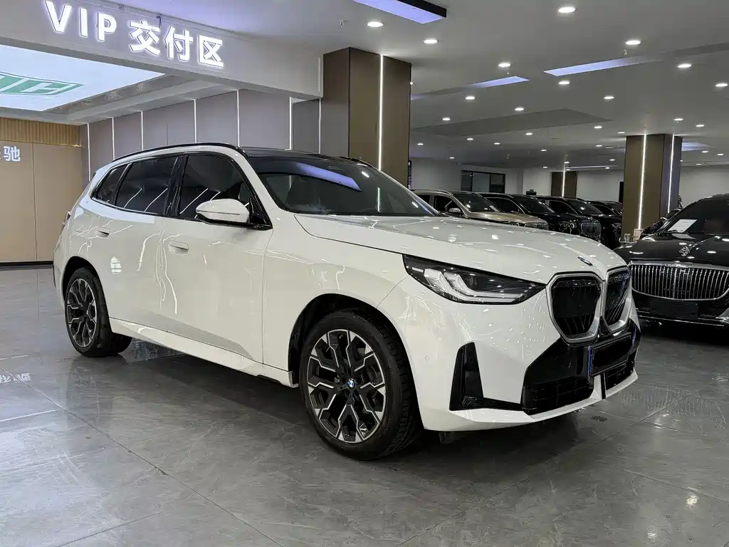 BMW X3 — миниатюра 3