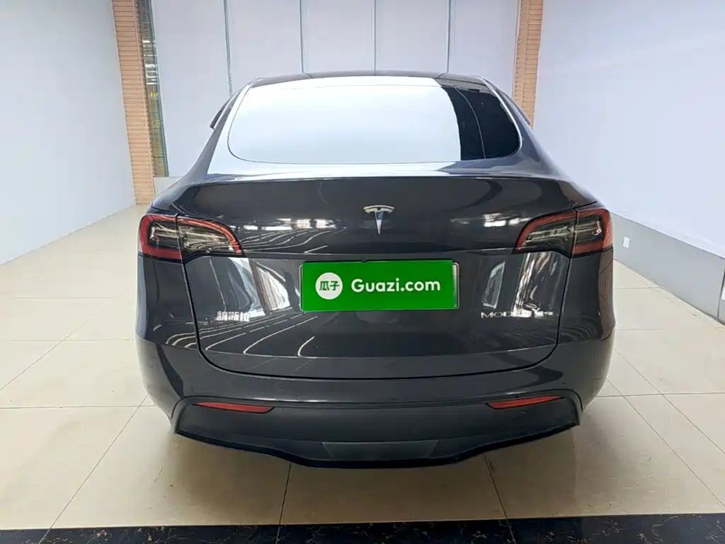 Tesla Model Y — миниатюра 6