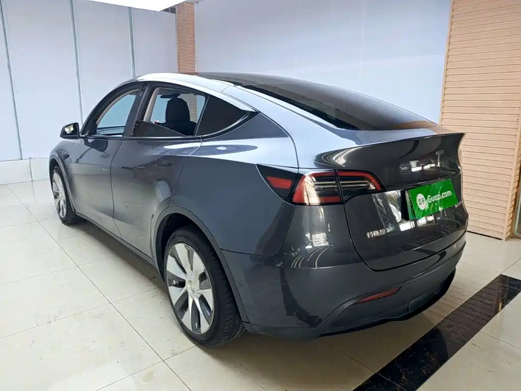 Tesla Model Y — миниатюра 5