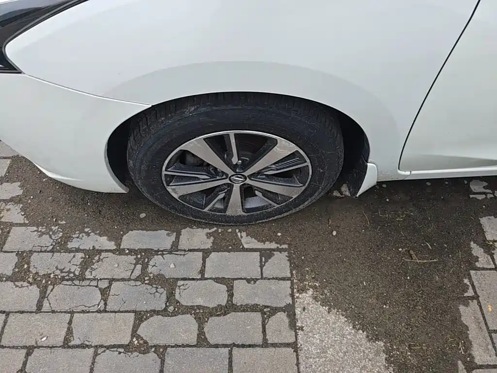 Nissan Bluebird — миниатюра 23