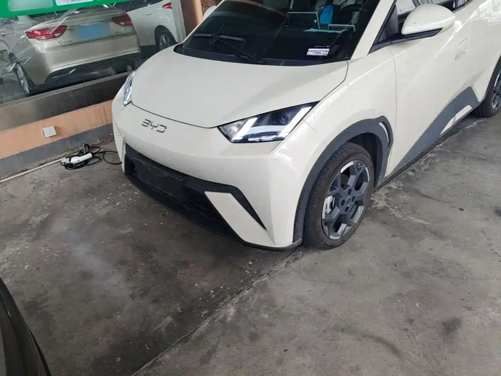 BYD Seagull — миниатюра 24