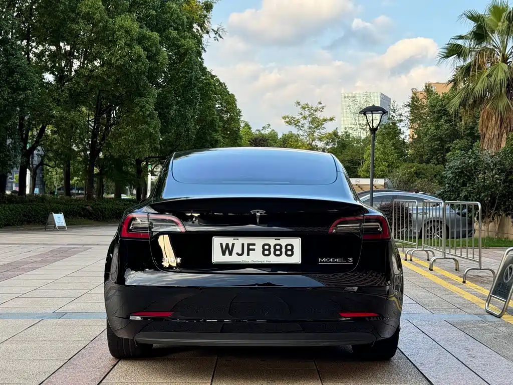 Tesla Model 3 — миниатюра 7